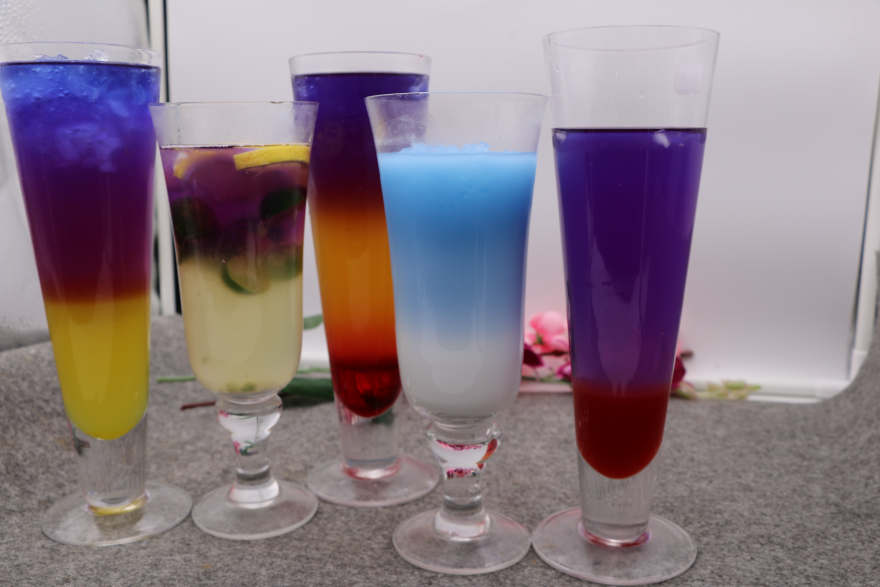 沈阳泰国蝶豆花培训