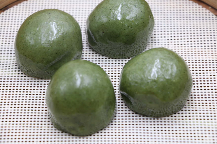 沈阳青团培训